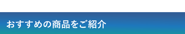 おすすめの商品をご紹介 Introduce a recommended product